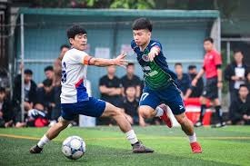 英超球队在欧冠赛场失利的深层原因解析